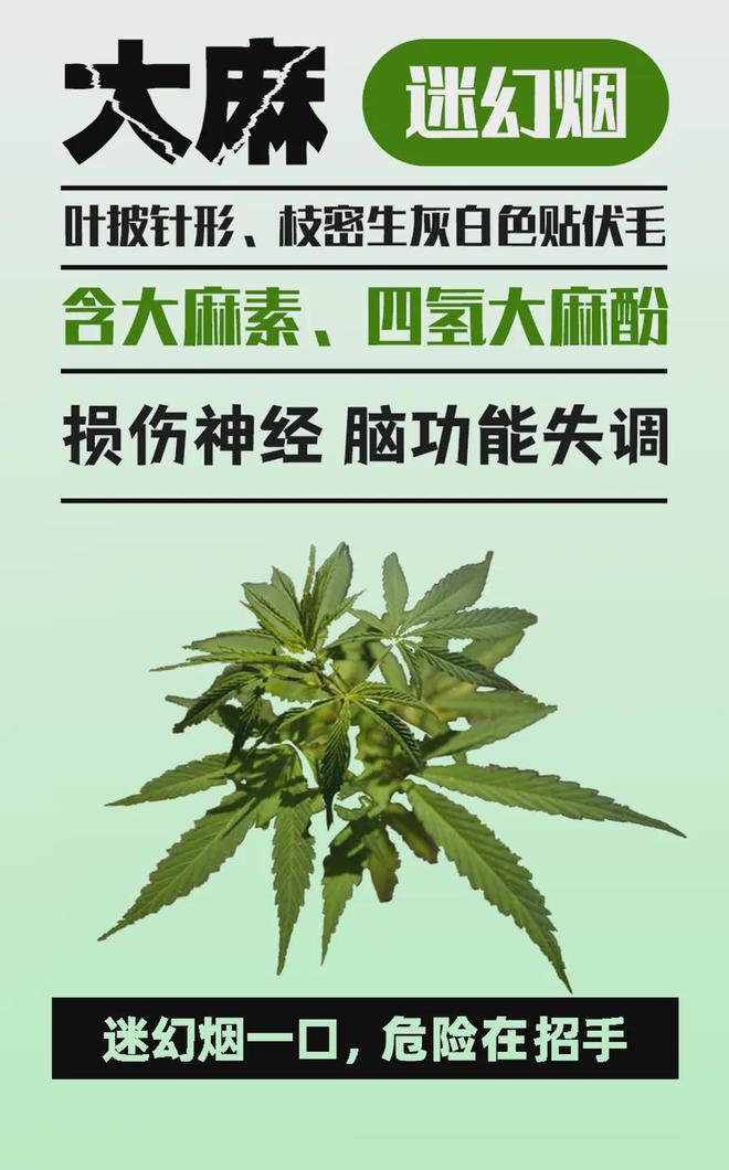 米乐m6重阳节！把这些消息转给爸妈！(图3)